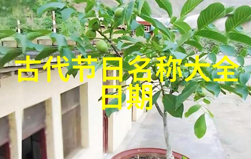 双11光棍节的由来及双11购物节