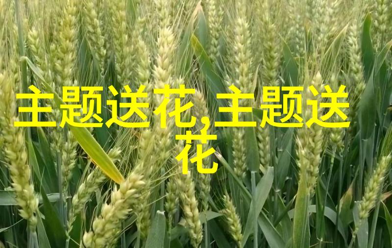春节送花的花语代表