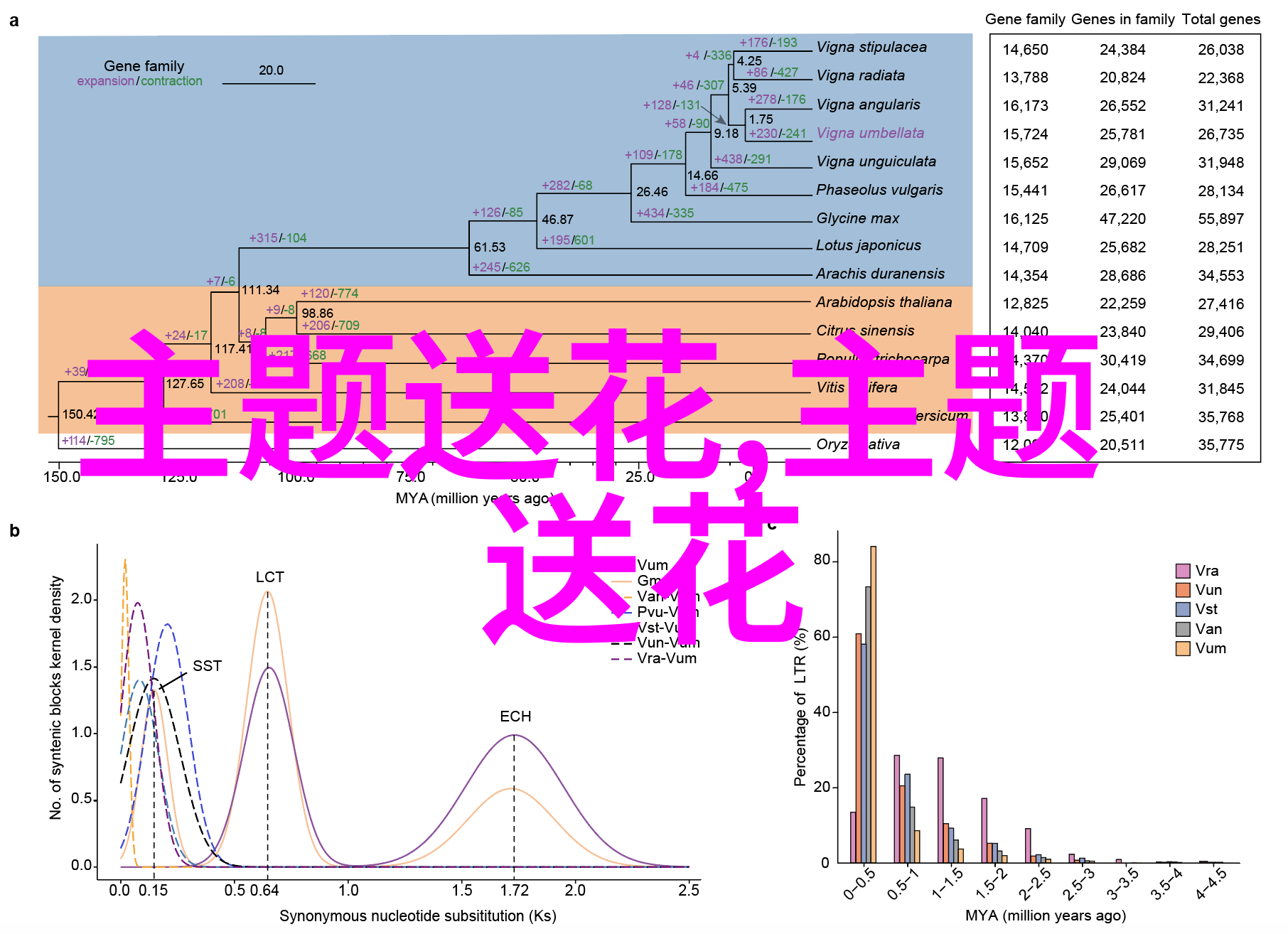 鲜果巧克力之情人节礼物